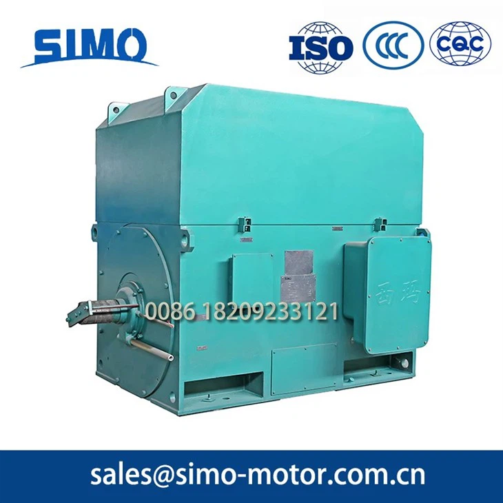 Energy Efficient High Voltage Motor3