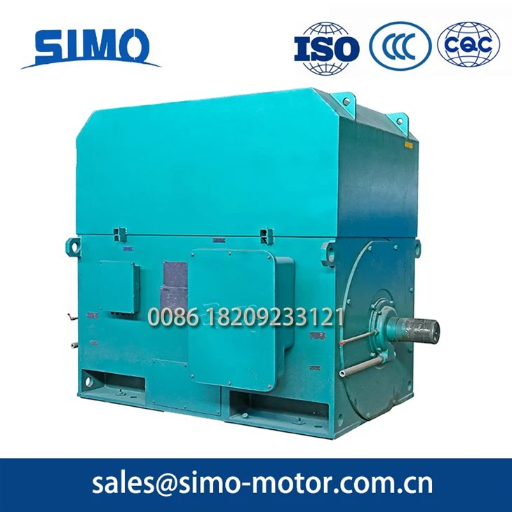 Energy Efficient High Voltage Motor2