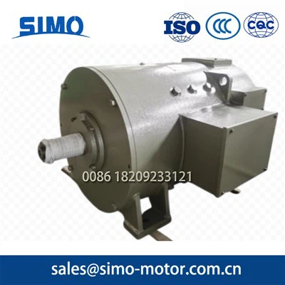 ZZJ - 806-22.4 KW vervangende DC Motorstaalplant